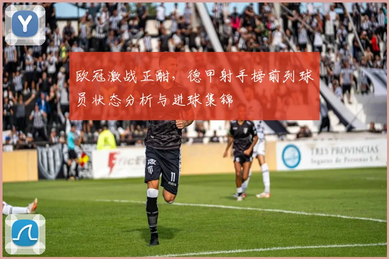 欧冠激战正酣，德甲射手榜前列球员状态分析与进球集锦