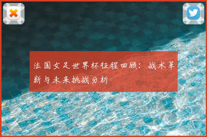 法国女足世界杯征程回顾：战术革新与未来挑战分析