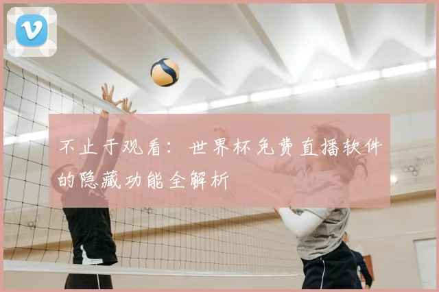 不止于观看：世界杯免费直播软件的隐藏功能全解析