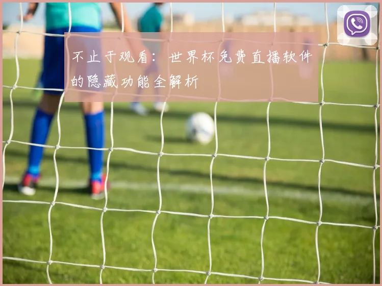 不止于观看：世界杯免费直播软件的隐藏功能全解析